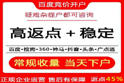 SEM广告投放的精准定位与优化案例